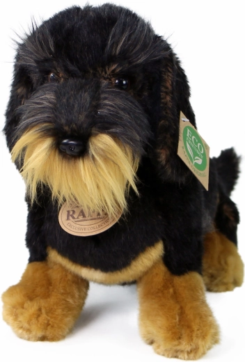 Diseño realista del dachshund de pelo duro