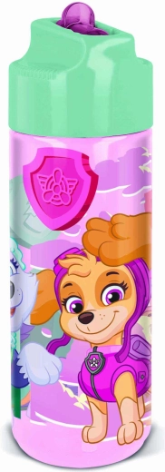 Botella Ecozen Paw Patrol 540 ml