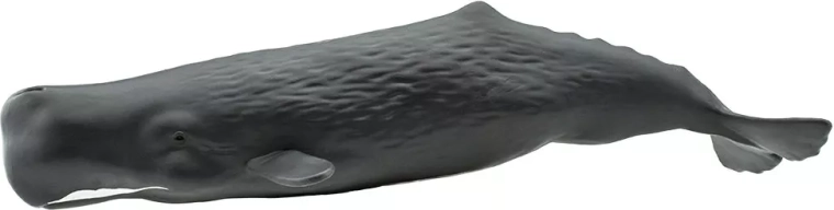 Figura de cachalote Safari Ltd. - 1 pieza