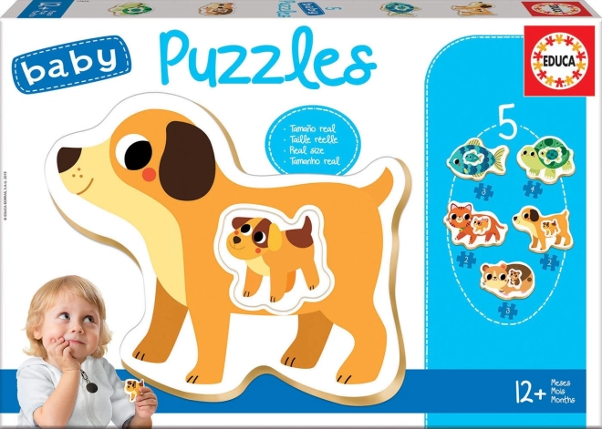 Educa Baby rompecabezas mascotas domésticas con crías 5 en 1