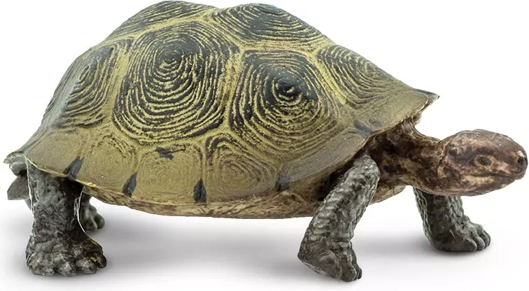 Safari Ltd. figura de tortuga del desierto