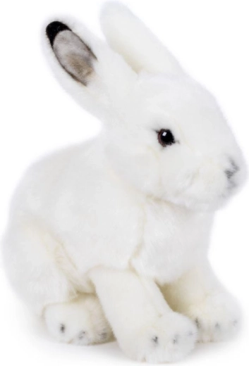 Conejito de peluche blanco nieve 19 × 19 cm
