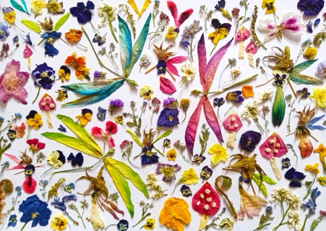Puzzle Hadas y Libélulas 1000 piezas
