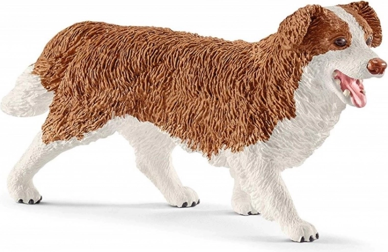 Cuidado de las mascotas con la perrita Ruby