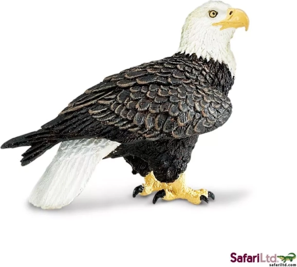 Safari Ltd. águila calva