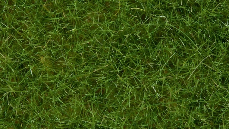 Hierba estática silvestre verde claro 6 mm Noch