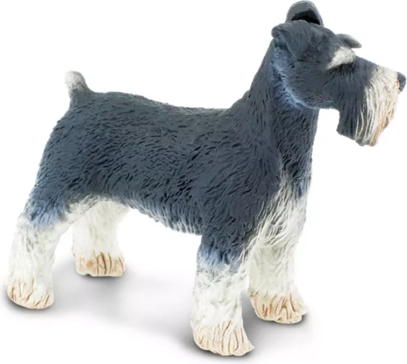 Detalles fieles del schnauzer