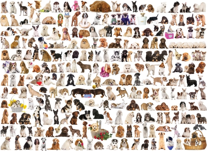Puzzle Eurographics Mundo de los perros 1000 piezas