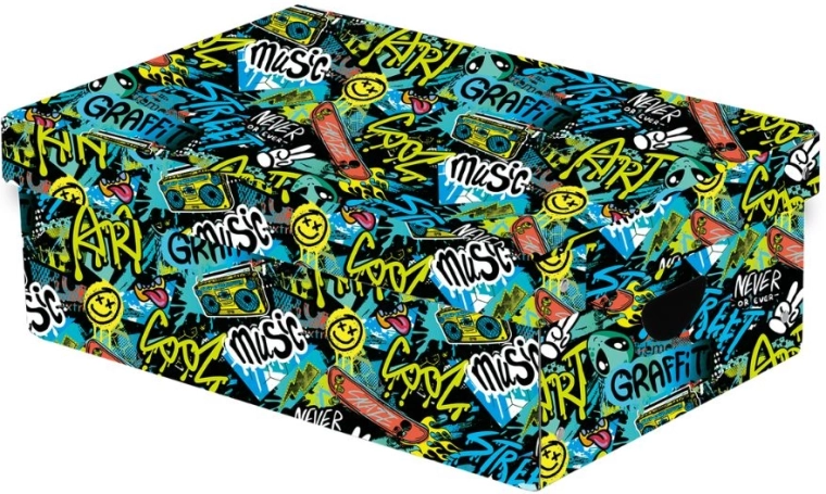 Caja de almacenamiento grande laminada Funny Boy con tapa
