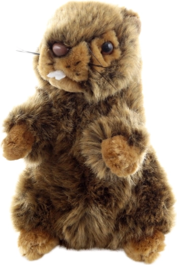 Acabado eco-friendly