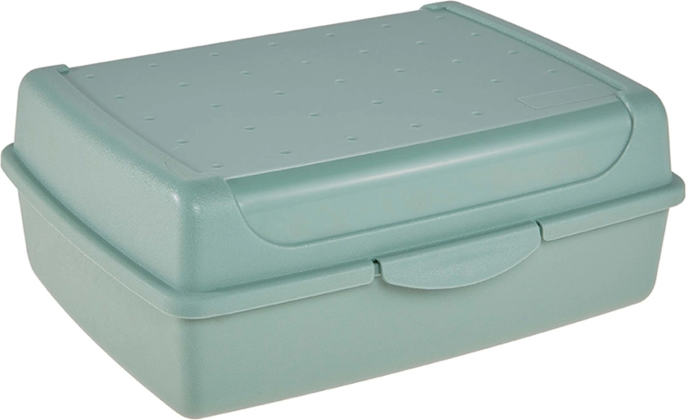 Caja para el almuerzo verde nórdico 30 × 20 × 8,5 cm