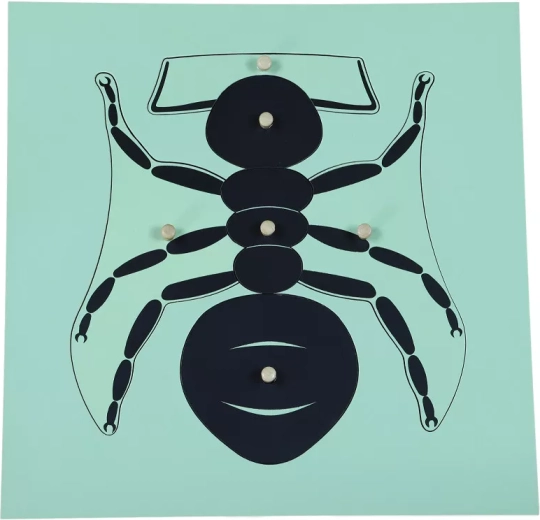 Puzzle Montessori hormiga