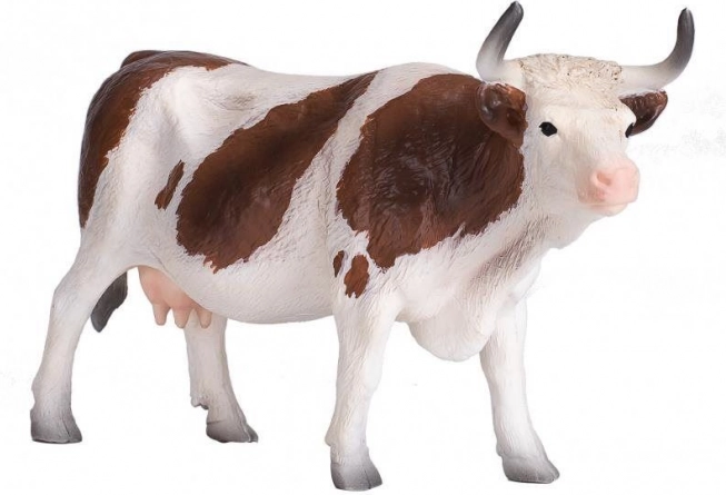 Mojo Vaca simmental