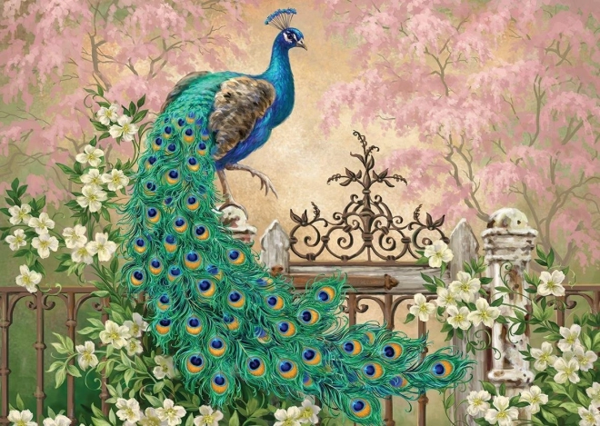 Puzzle pavo 260 piezas