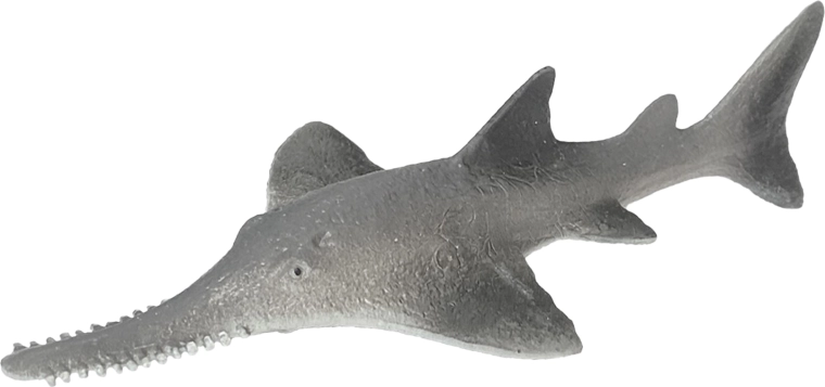 Pez marino de goma sierra (Pristis) de 14 cm