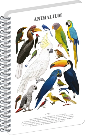 Bloc espiral Notique Animalium – Aves, blanco, A4