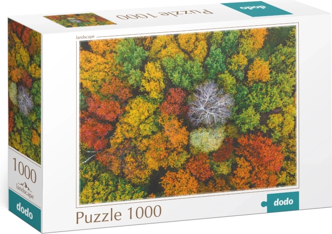 Puzzle DODO Dzembronya, Ucrania – 1000 piezas