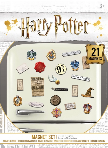 Juego de imanes Harry Potter