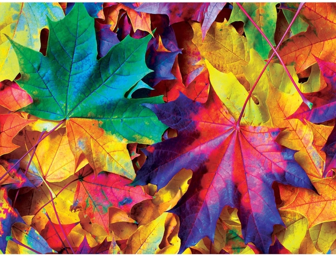 Puzzle Masterpieces Otoño colorido 550 piezas