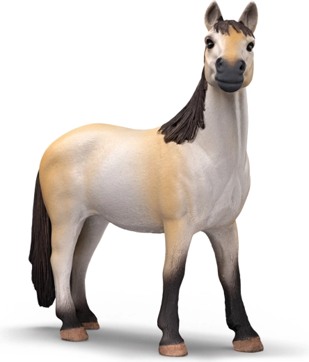 Preciosa yegua mustang