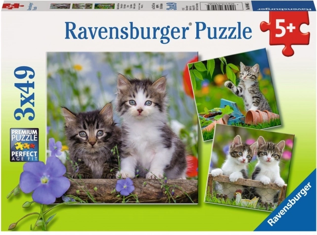 Puzzle Ravensburger gatitos 3×49 piezas