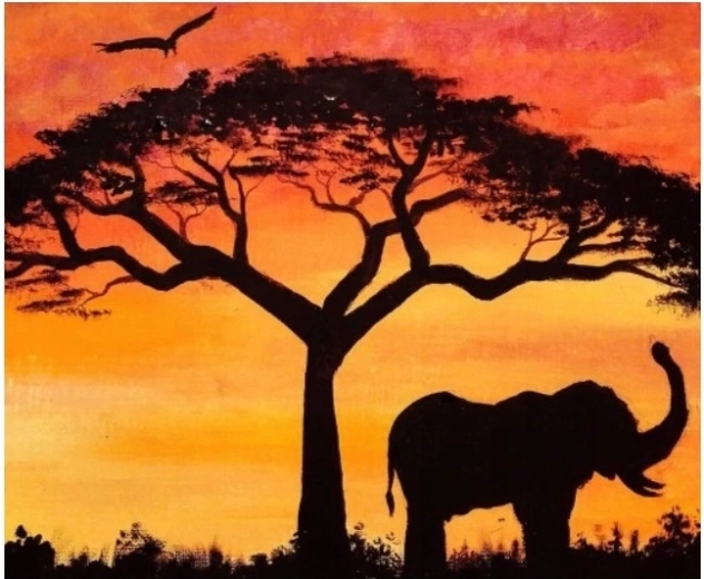 Norimpex Pintura por números Elefante a la sombra de los árboles 40 × 50 cm