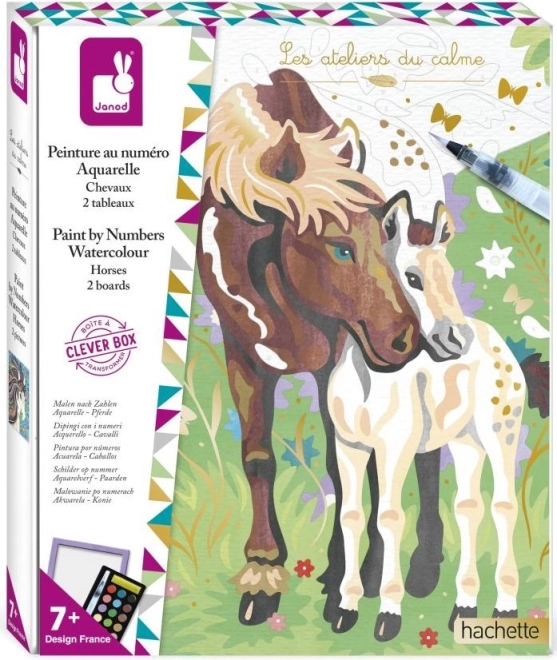 Pintura por números Caballos JANOD