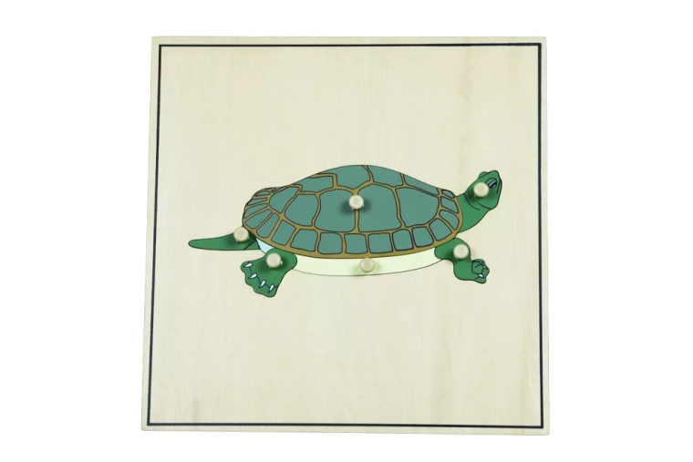 Puzle con esqueleto – tortuga