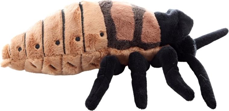 Diseño realista con acabados detallados