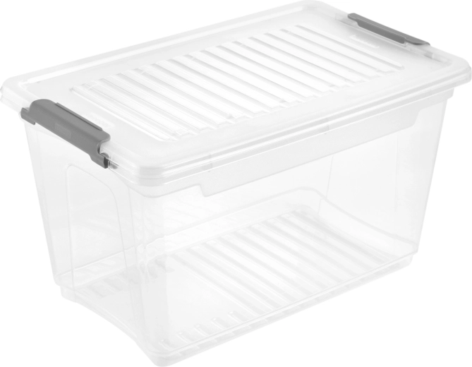 Caja de almacenamiento de plástico con tapa Leonie 5,4 l