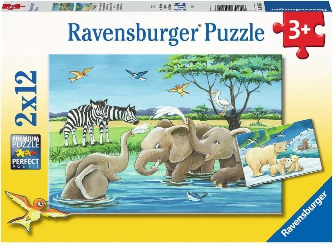 Puzzle Ravensburger Crías de animales 2×12 piezas