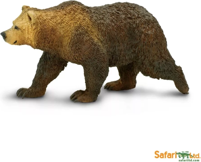 Oso grizzly