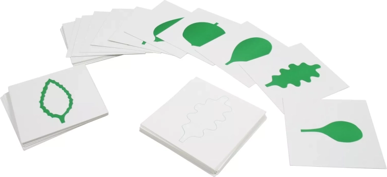 Tarjetas – formas de hojas