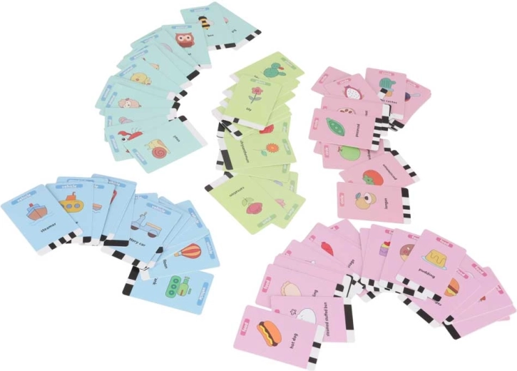 Completo set de 100 tarjetas educativas