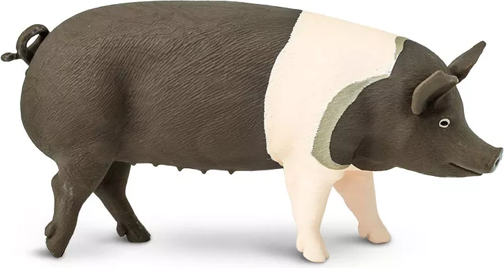 Figura de cerdo Hampshire Safari Ltd. - 1 pieza
