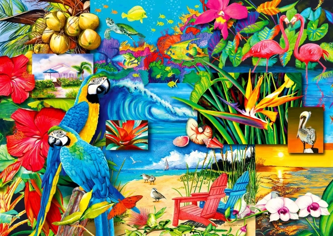 Disfrute del puzzle Tesoros Tropicales de 1000 piezas