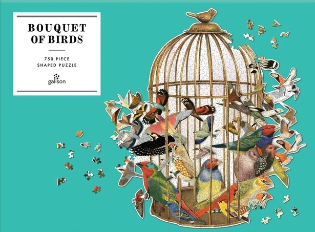 Puzzle Galison Jaula de pájaros 750 piezas