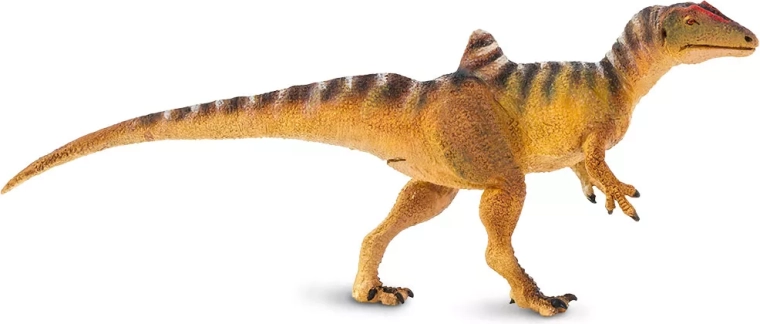 Figura de dinosaurio Concavenator Safari Ltd. - 1 pieza