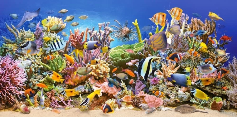Puzzle vida submarina 4000 piezas CASTORLAND