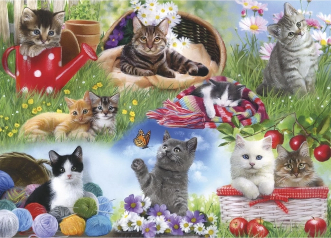 Puzzle Armamos juntos: gatos 12 piezas