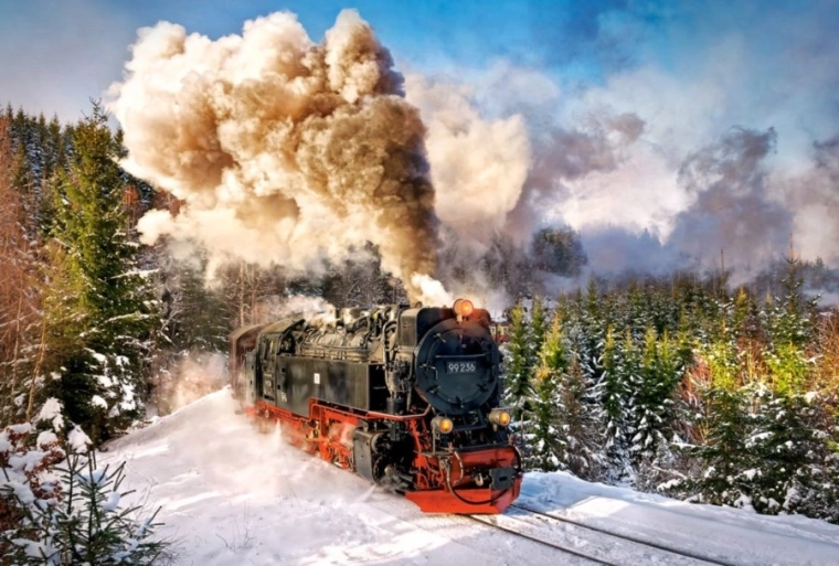 Puzzle de 1000 piezas Steam Train