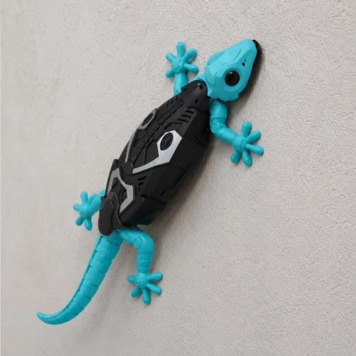 Trepa por la pared y se desplaza por el suelo