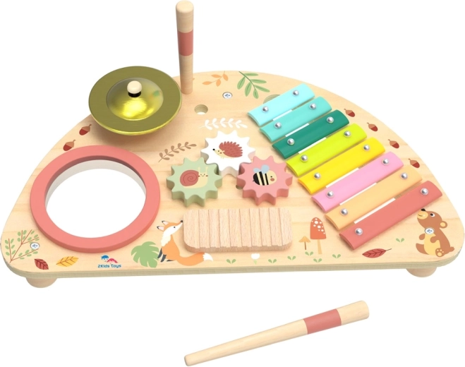 Tabla musical multifuncional 2Kids Toys