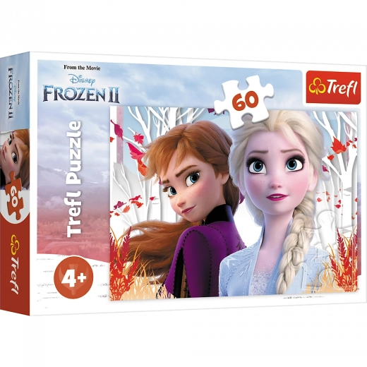 Puzzle de 60 piezas El maravilloso mundo de Anna y Elsa