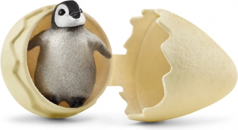 Cría de pingüino eclosionando