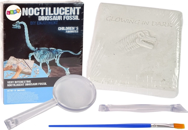 Set arqueológico de excavación de dinosaurio, esqueleto 3D Brachiosaurus