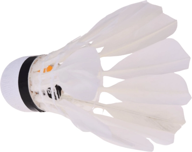 Pluma natural para un vuelo estable