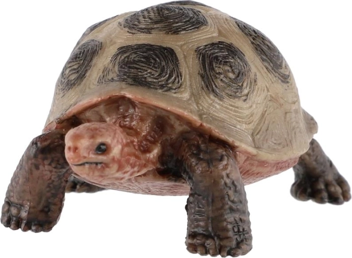 Para jugar y conocer la naturaleza
