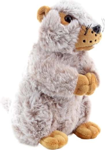 Tamaño ideal para manos infantiles