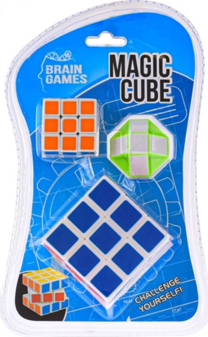 Brain games set de rompecabezas: cubos para armar y Snake